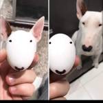 Bishmi Simon Profile Picture