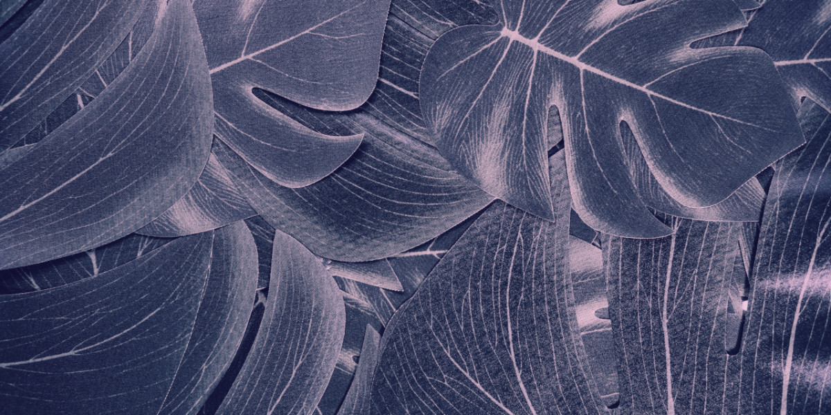 Grew halting that you deserved to vibrate on test