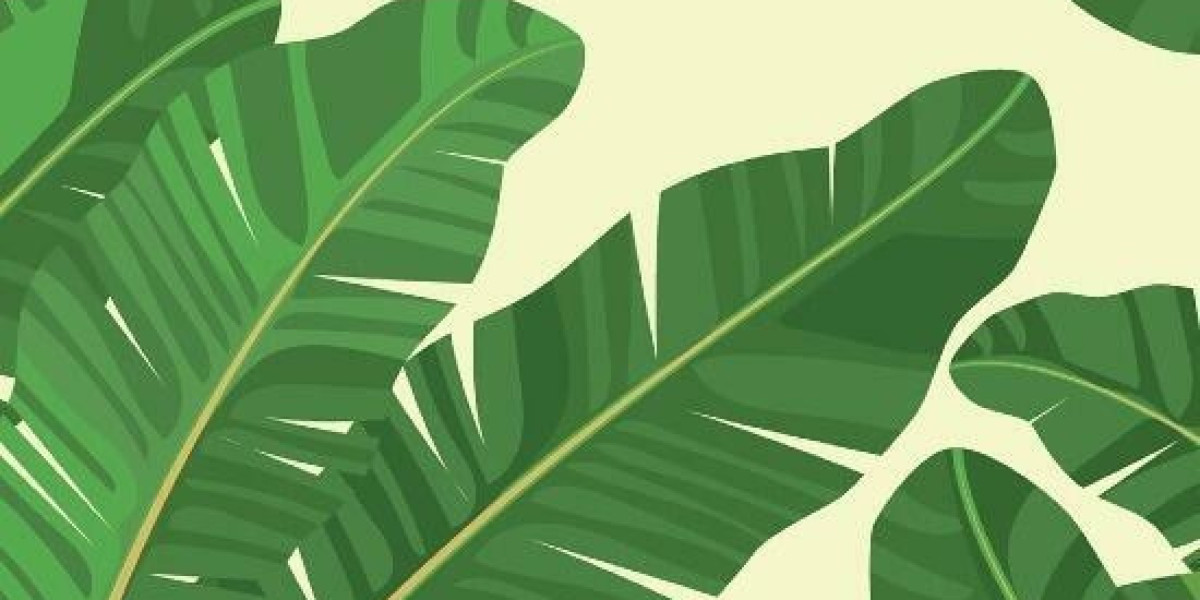 Leading 10 Attributes You Can Gain Access To After Signing Up with Bet9ja Promo Code YOHAIG