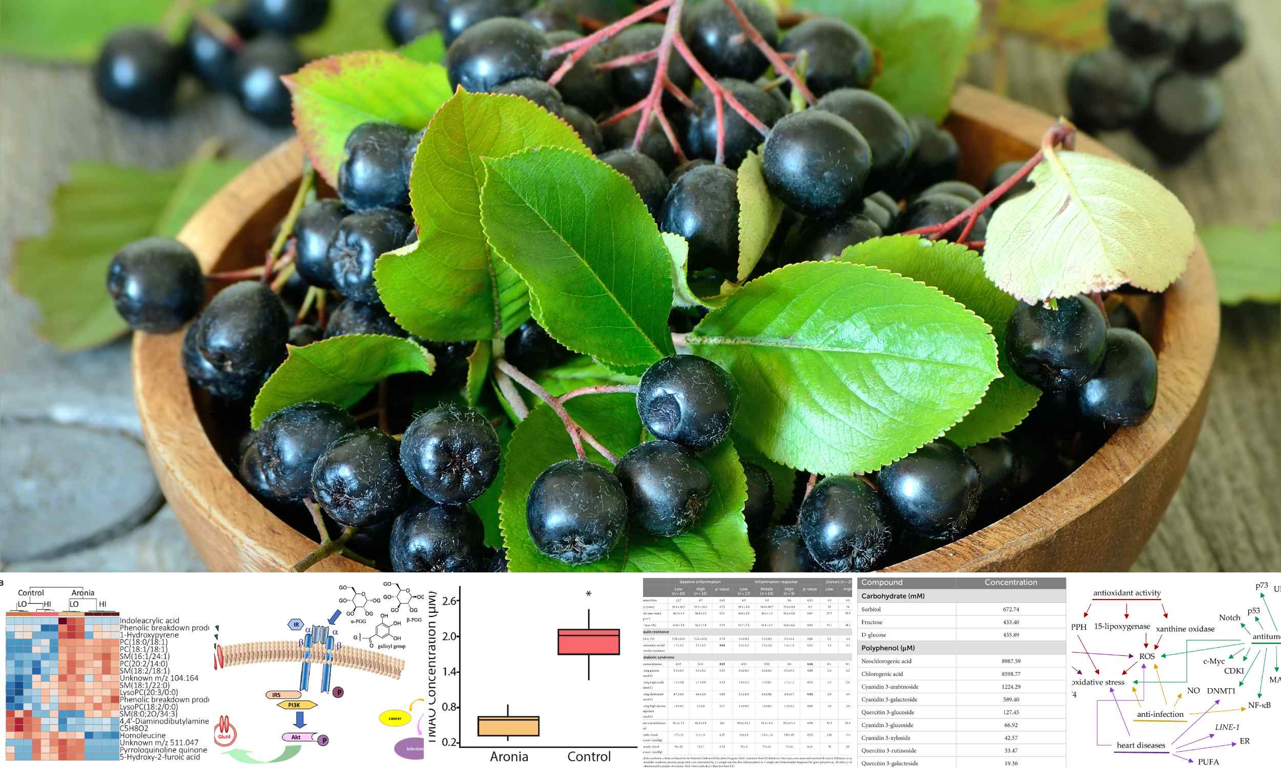 This vitamin-packed fruit regulates blood sugar and blood pressure - Earth.com