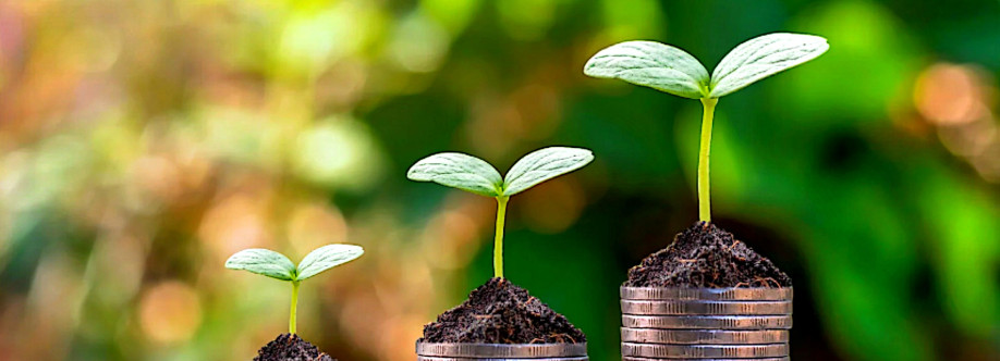 Mindset Essentials Cover Image