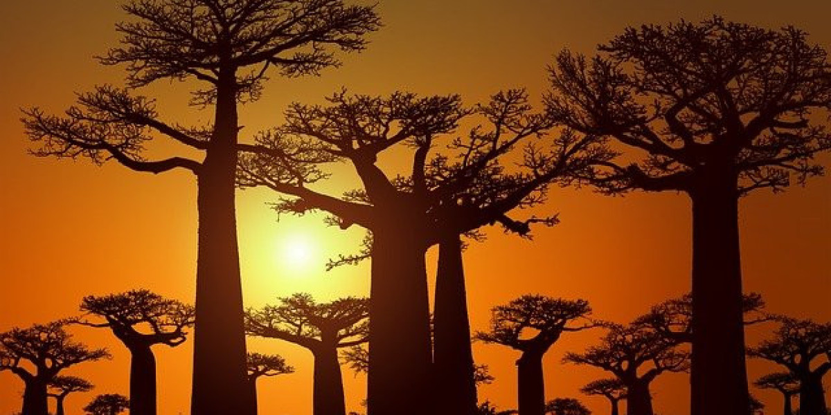 Madagascar eVisa for Italian Citizens: A Complete Guide