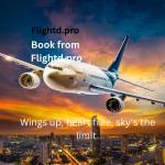 Flight d Profile Picture