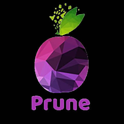 Prune Digital Solutions Pvt Ltd Profile Picture