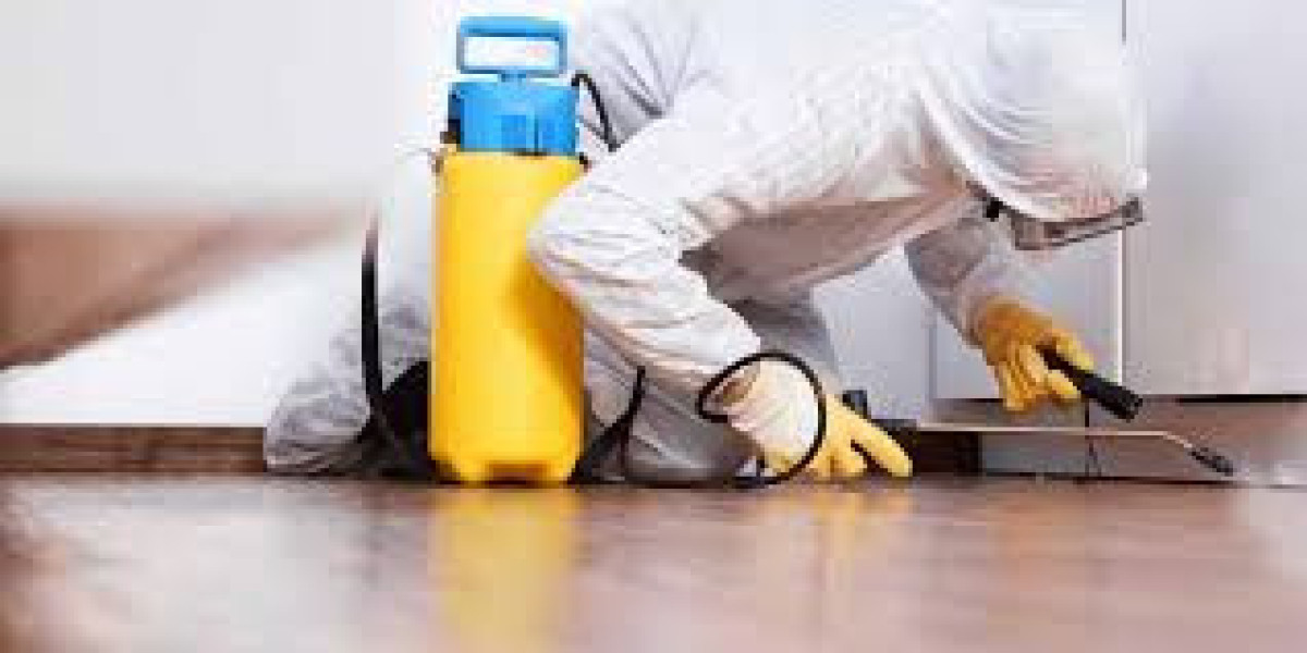 Everything You Should Know Before Hiring a Pest Control ExperT