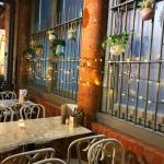 Leaf Profile Picture