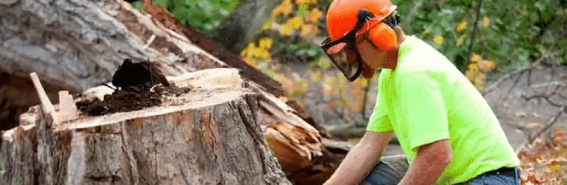 Tree Removal Cover Image