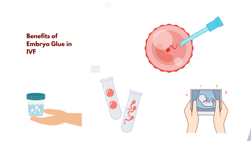 Benefits of Embryo Glue in IVF