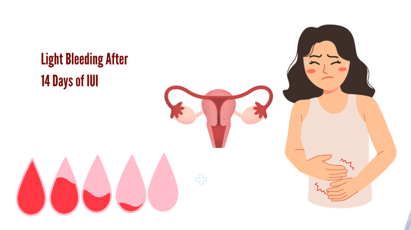 Light Bleeding After 14 Days of IUI: ext_6602037 — LiveJournal