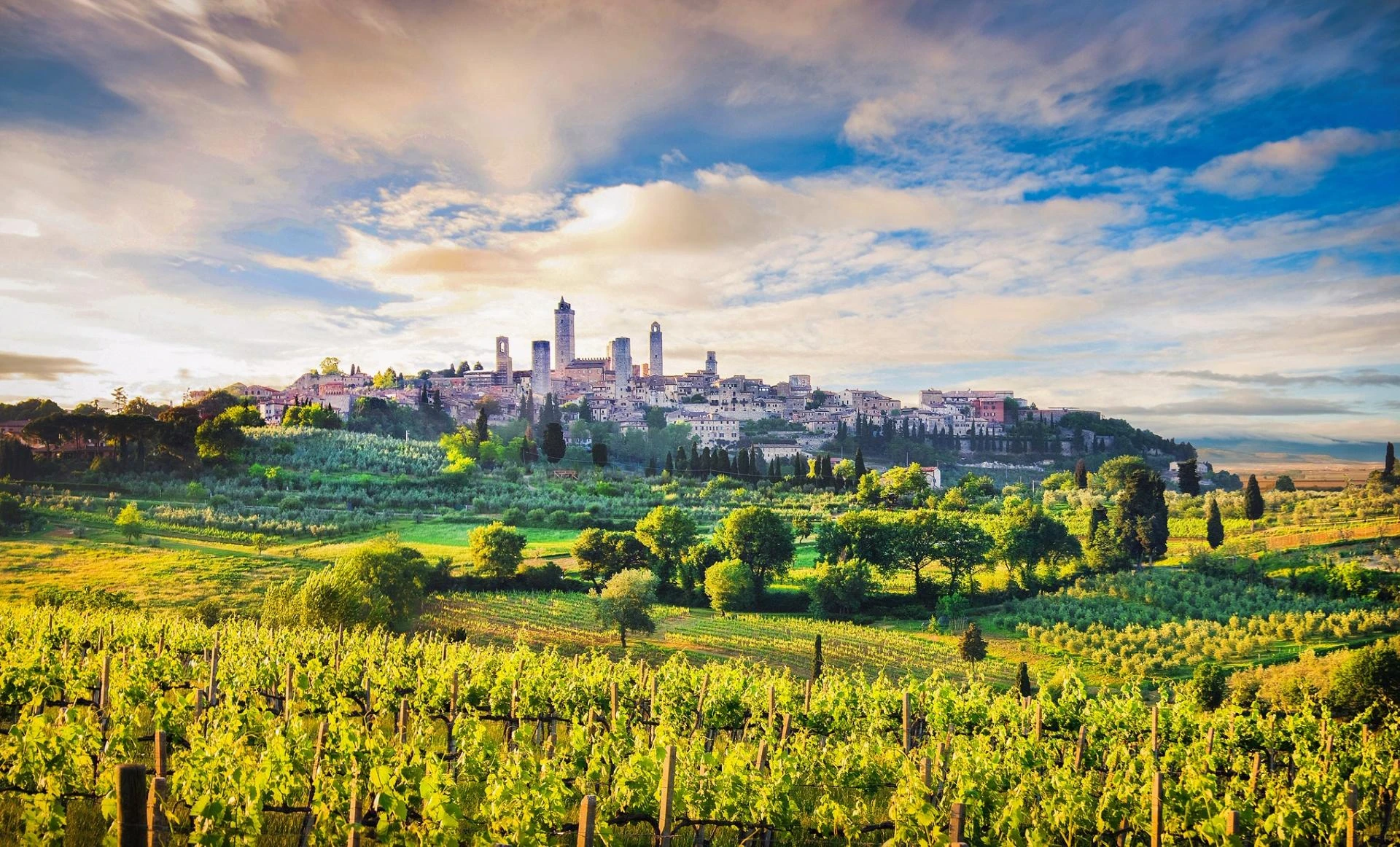 The Taste Of Tuscany: Savour it With The Chianti Area Wineries Tour in a Limo -  TheOmniBuzz