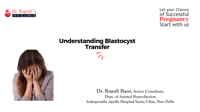 Understanding Blastocyst Transfer