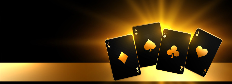 Skyfair Vip Cover Image