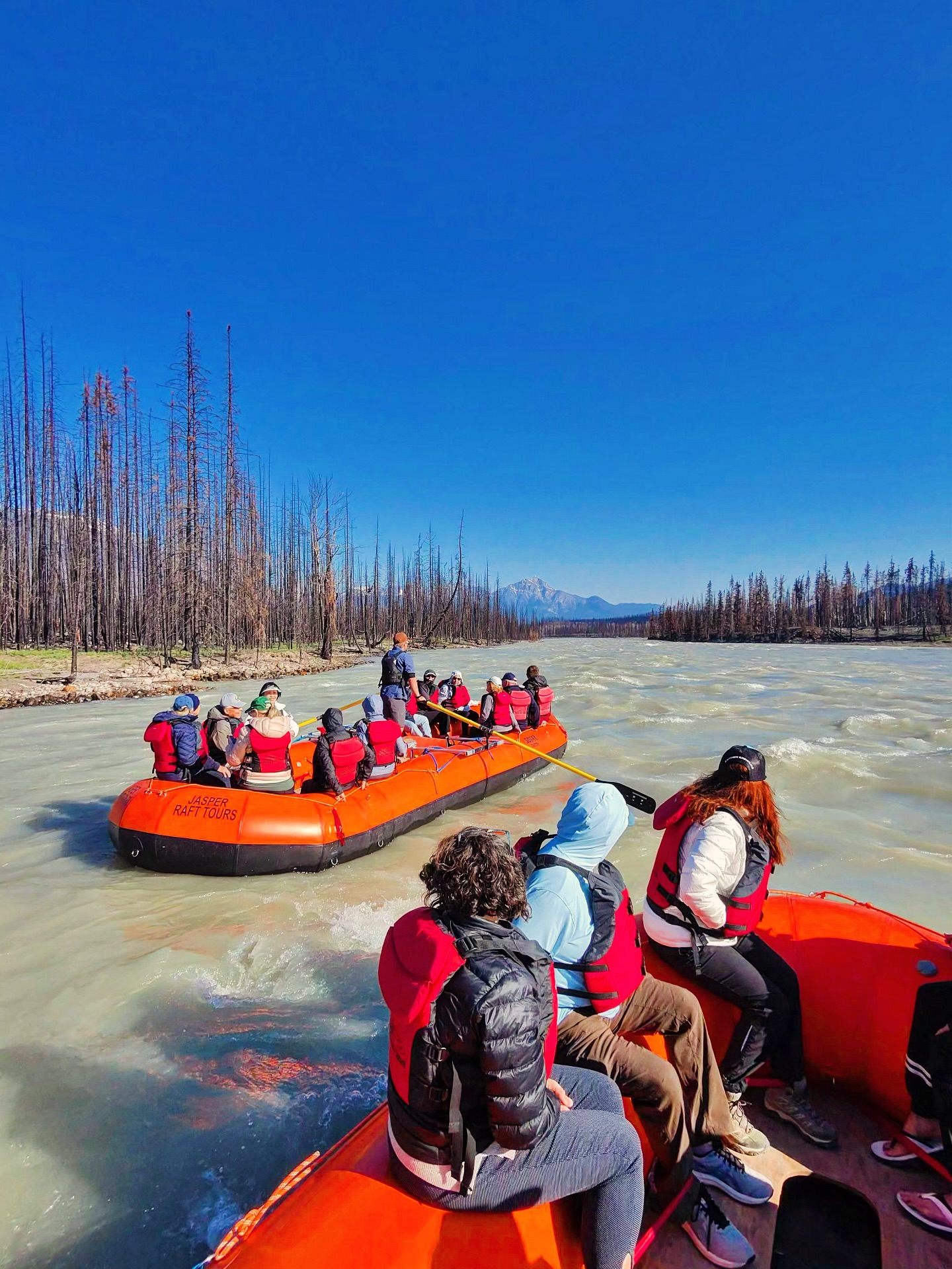 Unforgettable Jasper Adventures: Discover Hiking, Wildlife, and Scenic Trails - DailyStoryPro