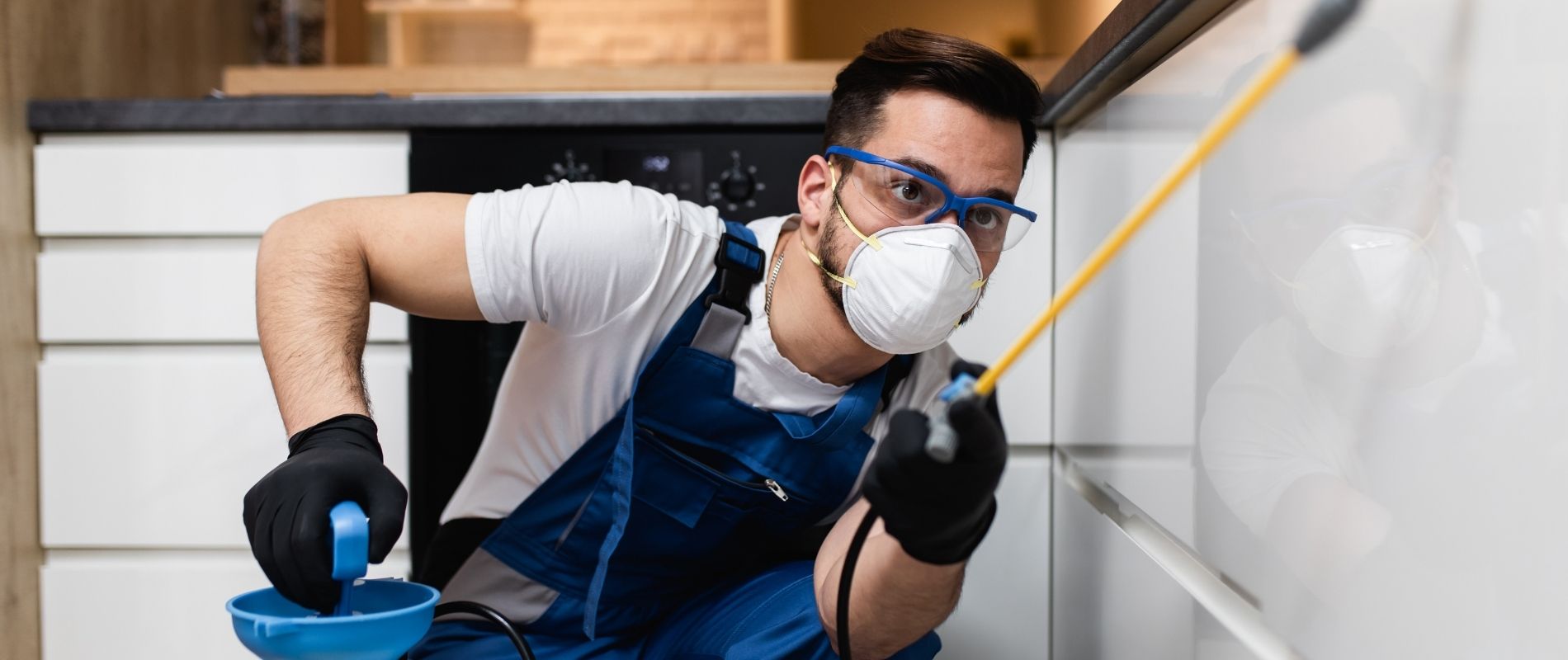 Pest Control Melbourne, Melbourne's Best Pest Control Services