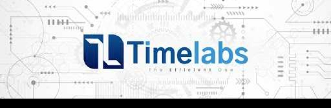 Timelabs HR Software Cover Image