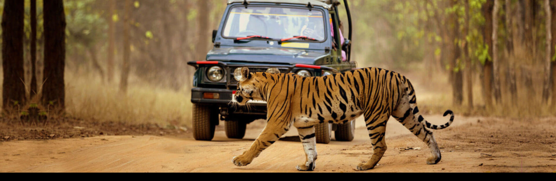 African Memorable Safaris Cover Image