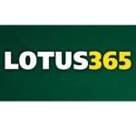 Lotus365 Lotus365 Profile Picture