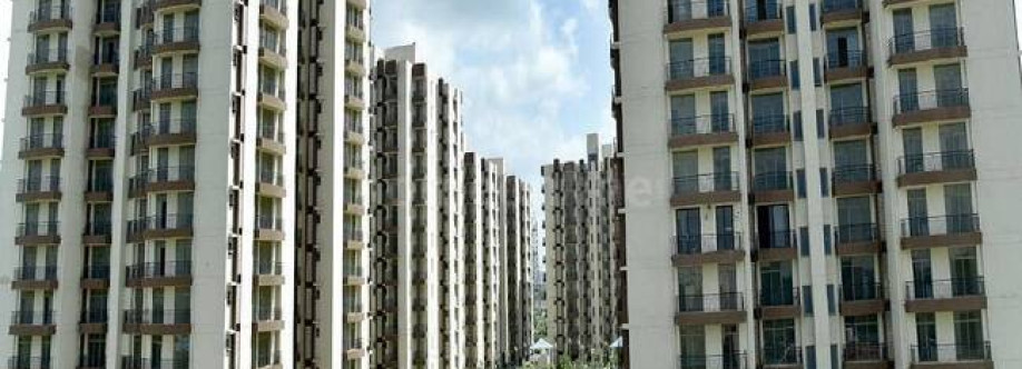 Reeltor 74 Cover Image