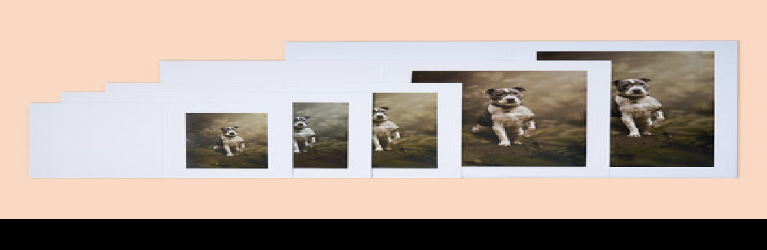 Image Display Creations Cover Image