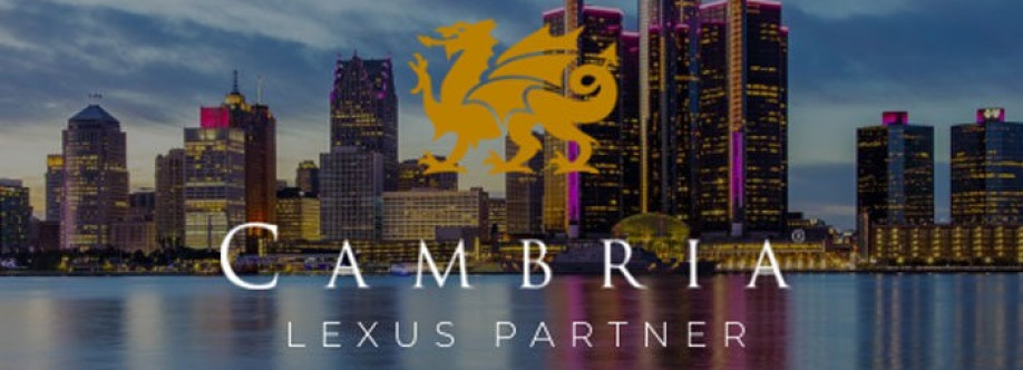 Blasius Countertops Cover Image