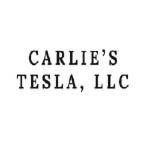 Carlies Tesla Profile Picture