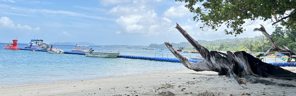 Go Andaman Holidays Cover Image