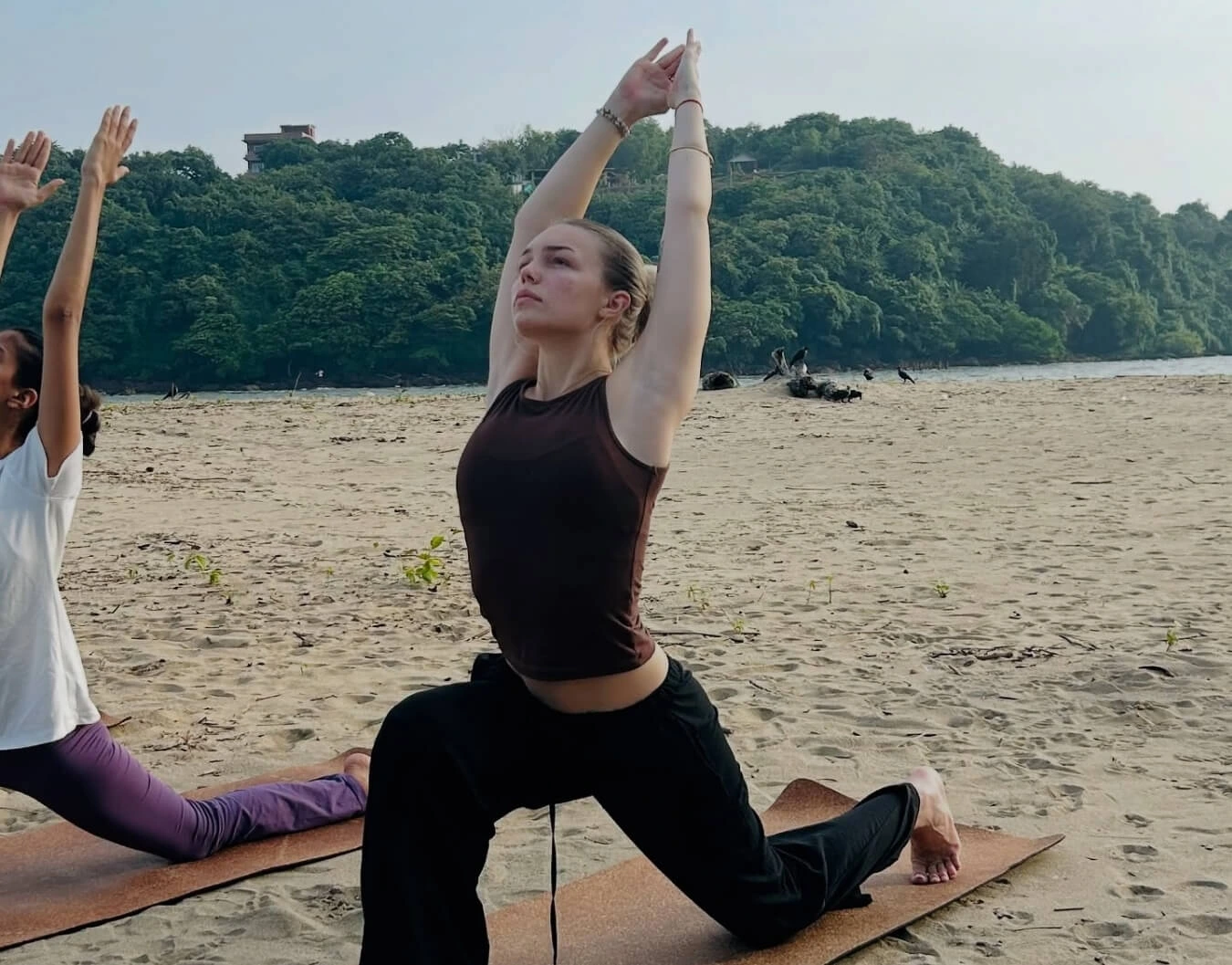 What Is Hatha Yoga? Simple Guide - Yoga and Wellness Blog