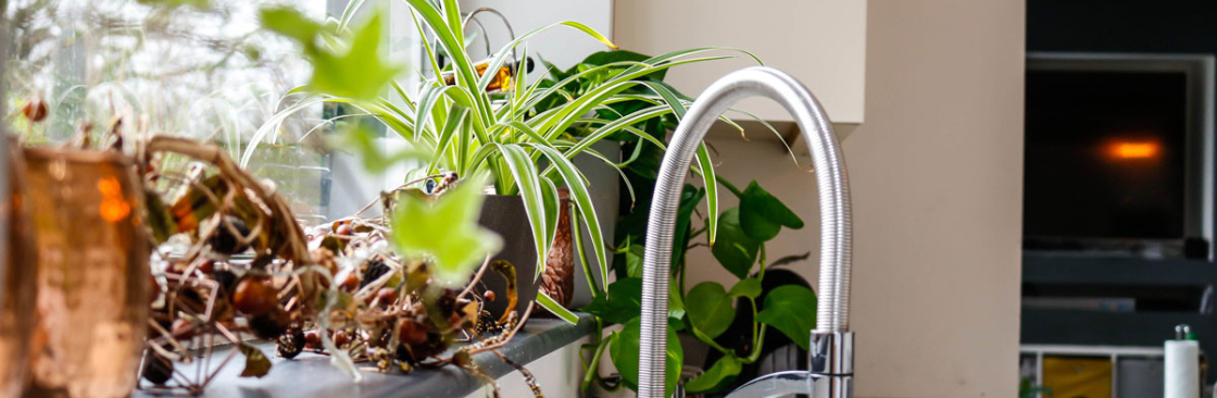 Plants Depot Cover Image