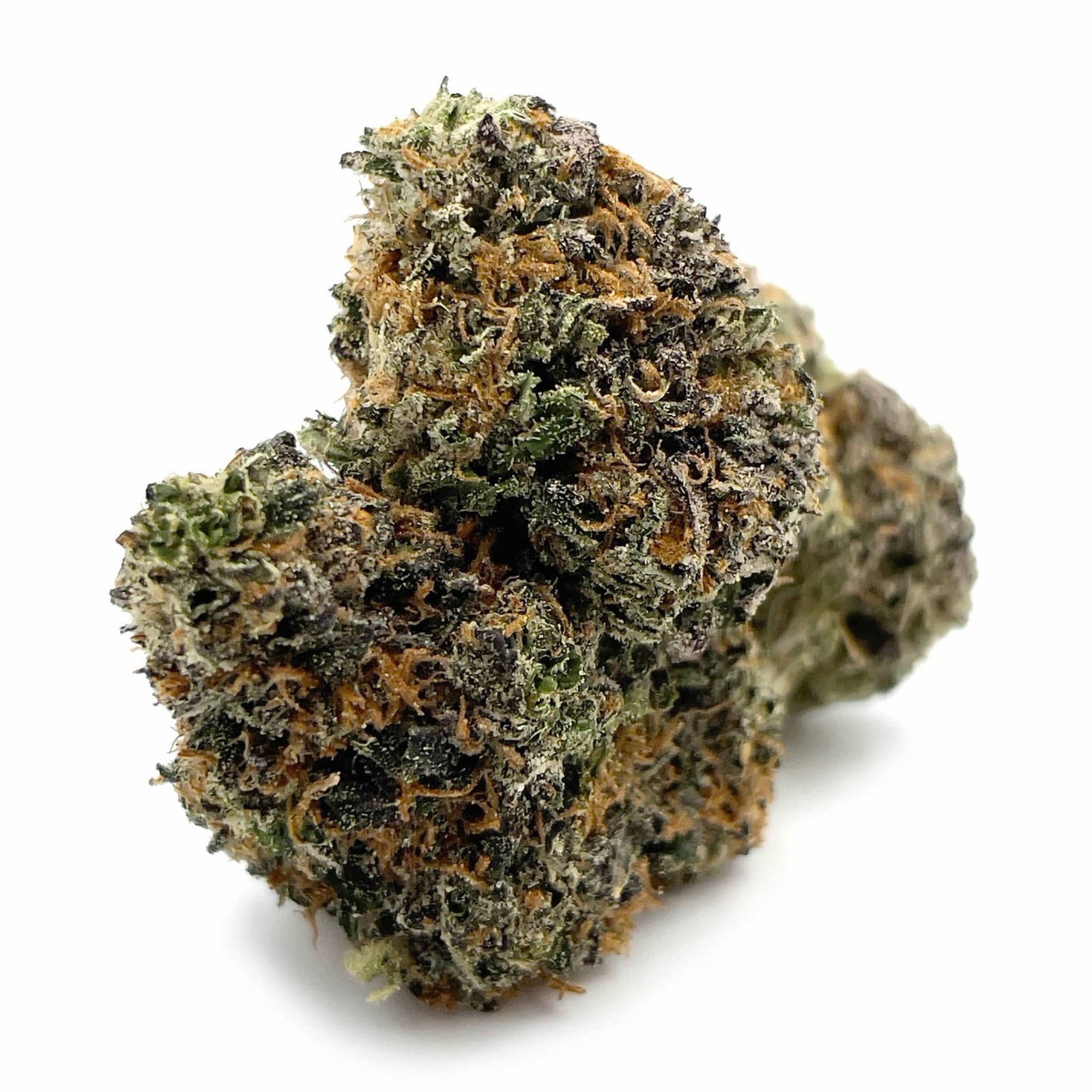 RAINBOW RUNTZ - Canafast