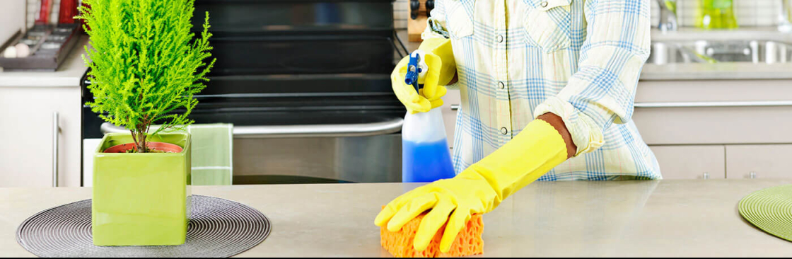 blowup cleaners Cover Image