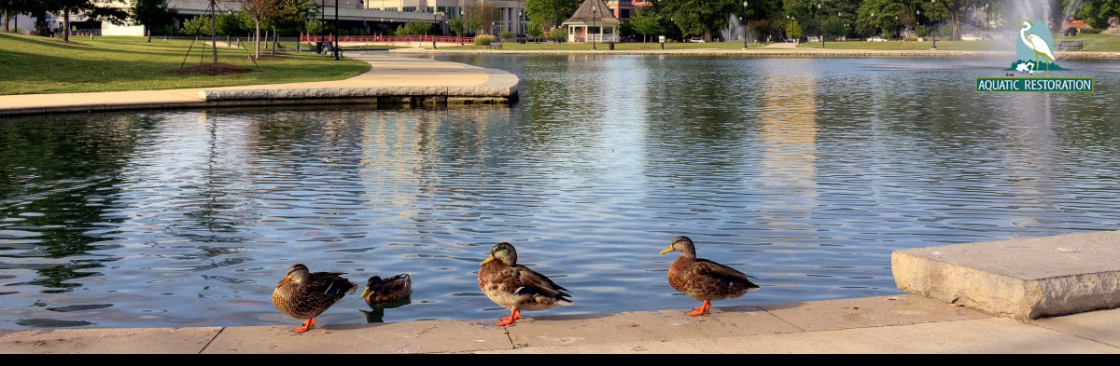 Aquatic Restoration Cover Image
