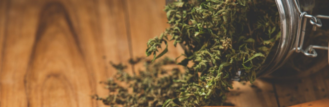 Cana Fast Cover Image