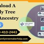 Daniel Albert Profile Picture