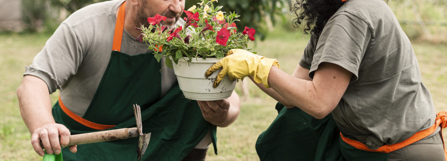 Smarti Living Cover Image