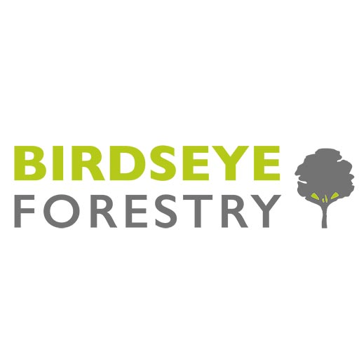 Vermont Timber Management Services | Birdseye Forestry