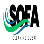 Sofa Cleaners